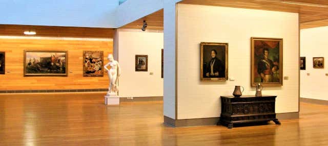 Visita guiada por el Museo de Bellas Artes en Castellon De La Plana