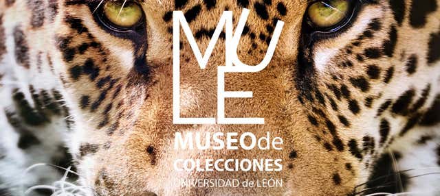 Visita guiada por el Museo de Colecciones de la Universidad de León en Leon