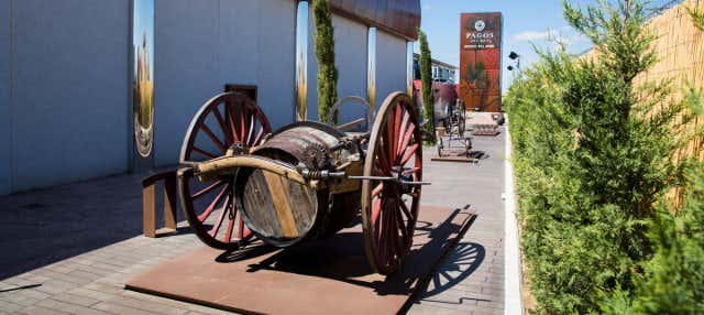 Visita guiada por el Museo del Vino Pagos Rey en Morales De Toro
