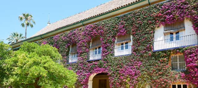 Visita guiada por el Palacio de las Dueñas en Sevilla