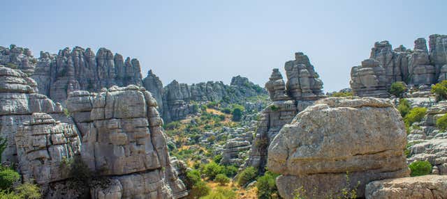 Visita guiada por el Torcal y los Dólmenes de Antequera en Antequera