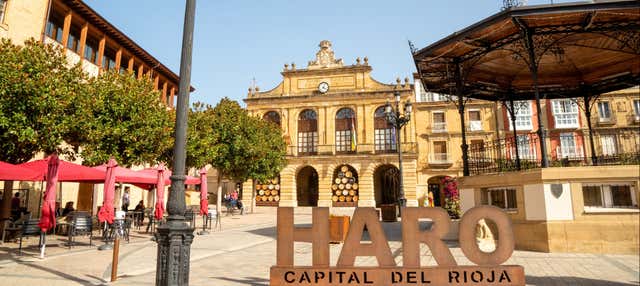 Visita guiada por Haro en Haro
