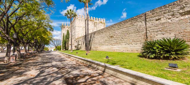 Visita guiada por Jerez en Jerez