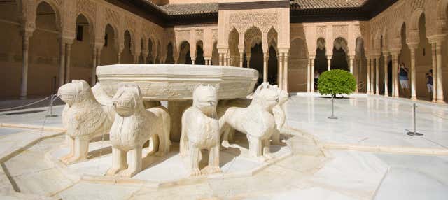 Visita guiada por la Alhambra y los Palacios Nazaríes con entradas en Granada
