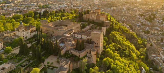Visita guiada por la Alhambra y los Palacios Nazaríes + Granada City Pass en Granada