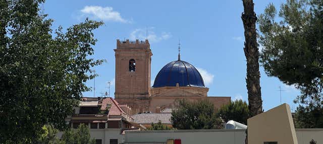 Visita guiada por la Basílica de Santa María + Subida a la torre en Elche