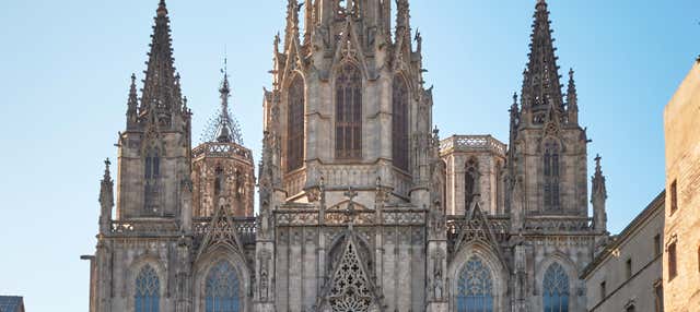 Visita guiada por la Catedral de Barcelona + Acceso a la terraza en Barcelona