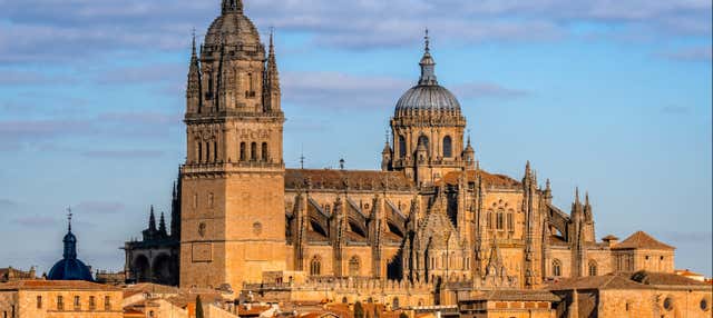 Visita guiada por la catedral de Salamanca en Salamanca