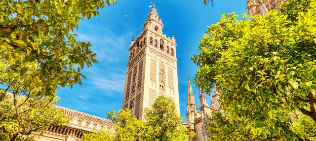 Visita guiada por la Catedral y la Giralda en grupo reducido en Sevilla