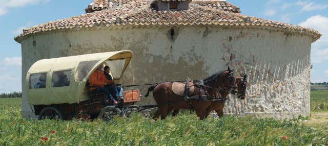 Visita guiada por la finca de Matallana en Villalba De Los Alcores
