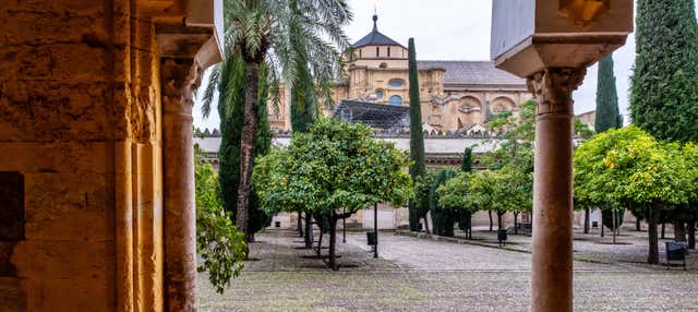 Visita guiada por la Mezquita y la Judería en grupo reducido en Cordoba