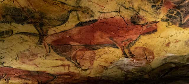 Visita guiada por la Neocueva y Museo de Altamira en Santillana Del Mar