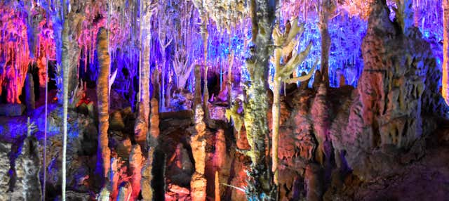 Visita guiada por las cuevas dels Hams en Can Pastilla