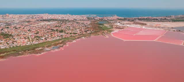 Visita guiada por las salinas de Torrevieja en Torrevieja