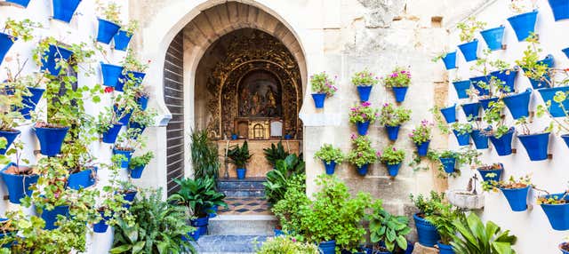 Visita guiada por los Patios de Córdoba en Cordoba