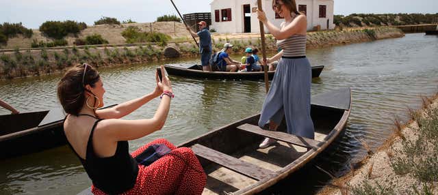 Visita guiada por MónNatura Delta del Ebro en Amposta