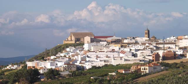 Visita guiada por Montilla en Montilla