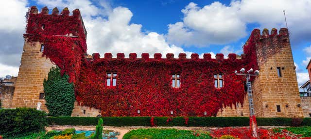Visita guiada por Olite y su castillo en Olite