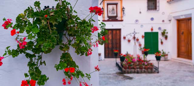 Visita guiada por Priego de Córdoba en Priego De Cordoba