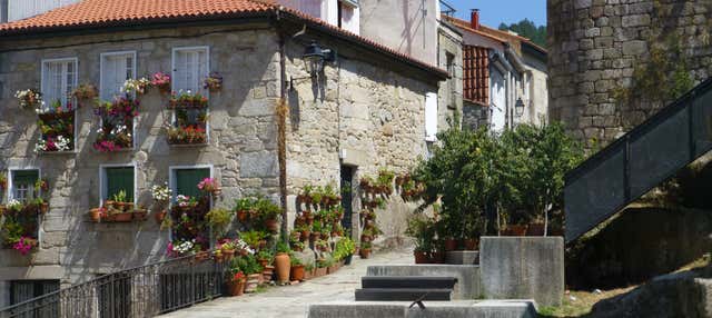 Visita guiada por Ribadavia en Ribadavia