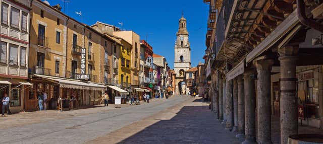 Visita guiada por Toro y una bodega tradicional en Toro