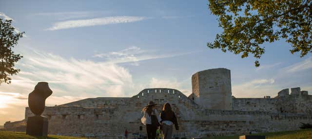 Visita guiada por Zamora y su castillo en Zamora