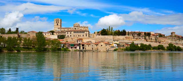 Visita guiada por Zamora en Zamora